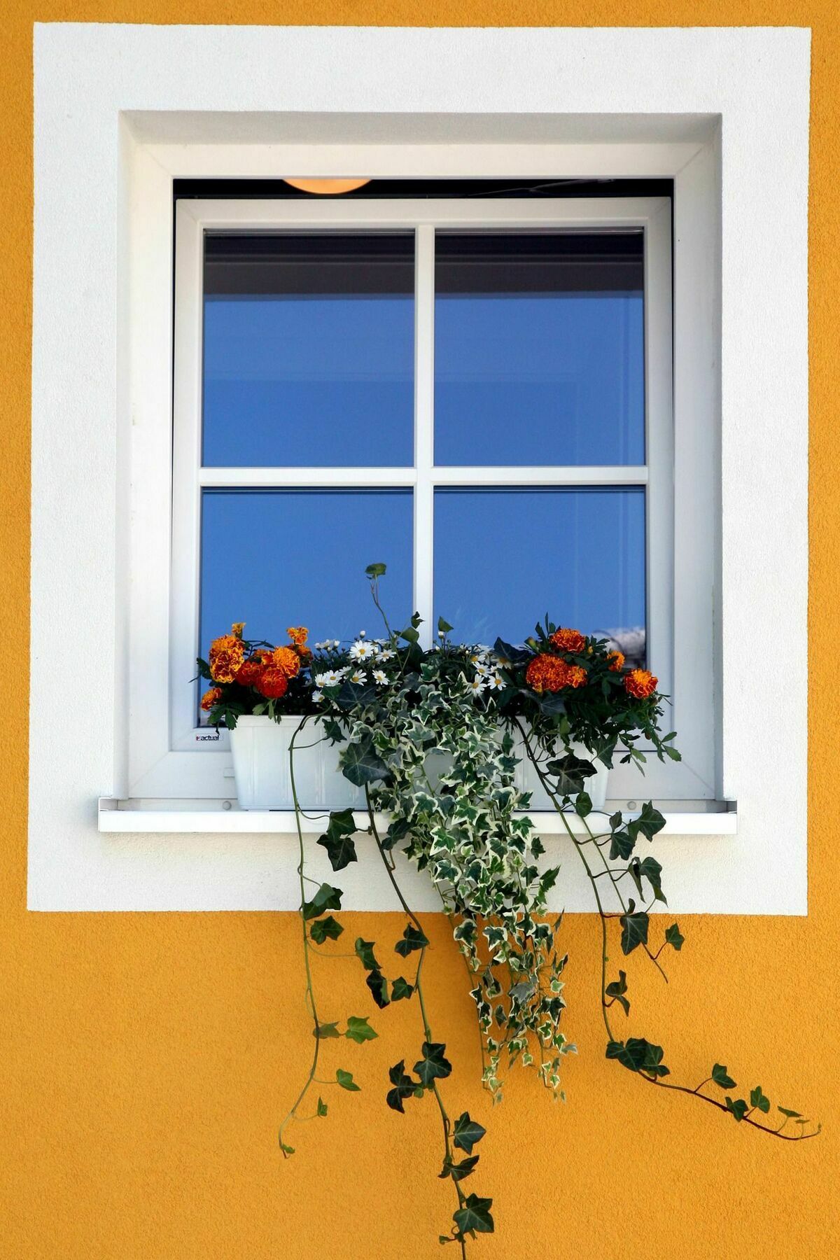 Apartments Ante Portas Salzburgo Exterior foto